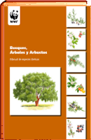 BOSQUES, ARBOLES Y ARBUSTOS